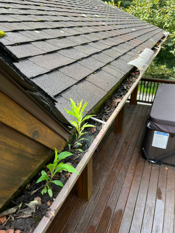 Gutter Cleaning in Blowing Rock, North Carolina